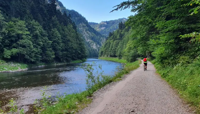 Rowerzysta przemierza malowniczą trasę Velo Dunajec w Szczawnicy, otoczony zielonymi lasami i spokojną rzeką.