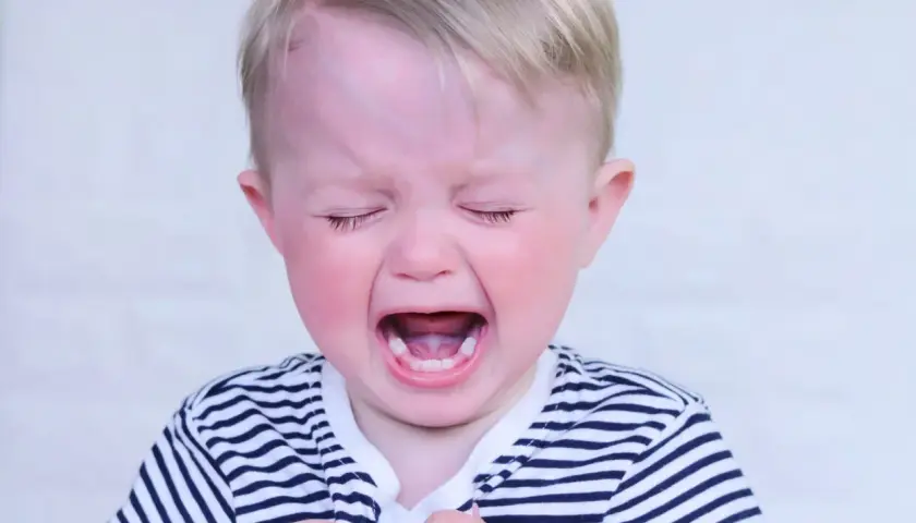 Un bimbo di 2 anni piange disperato, un classico dei capricci. Le guance rosse e la bocca spalancata mostrano tutta la sua frustrazione.