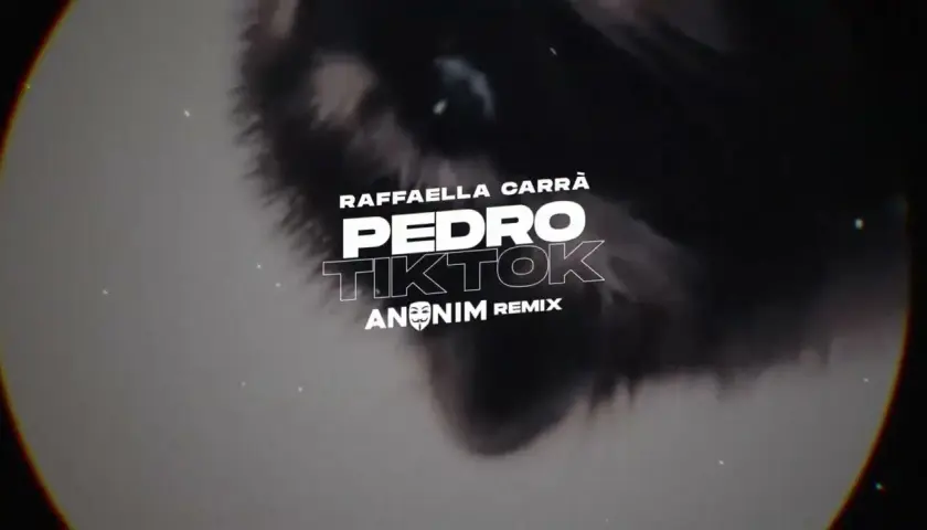 Kto śpiewa Pedro Pedro? Odkryj historię i remiksy tej piosenki