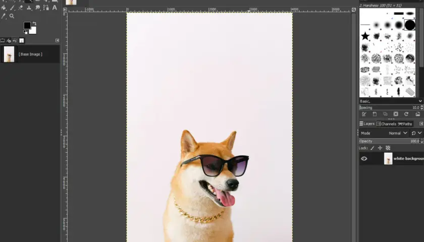 Shiba Inu w okularach i złotym łańcuchu, gotowy do nauki, jak usunąć tło w GIMP.