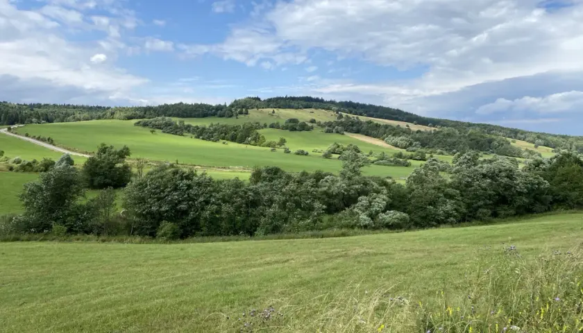 Zielone wzgórza Beskidu Niskiego, z drogą wijącą się pośród pól. W oddali widać najwyższy szczyt Beskidu Niskiego, porośnięty lasem.