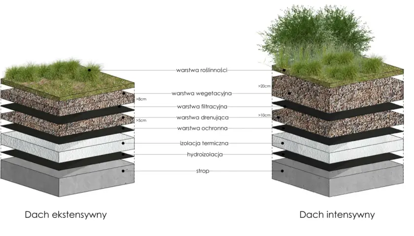 Przekrój dachu zielonego ekstensywnego z warstwami: roślinność, substrat, filtr, drenaż, ochrona, izolacja termiczna, hydroizolacja i strop.