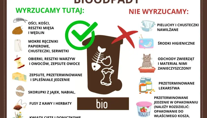 Gdzie wyrzucać mięso i kości? Do bio! Obierki, resztki warzyw, owoców, fusy z kawy i herbaty, skorupki jajek, kwiaty. Nie: pieluchy, środki higieniczne, odchody zwierząt, leki.