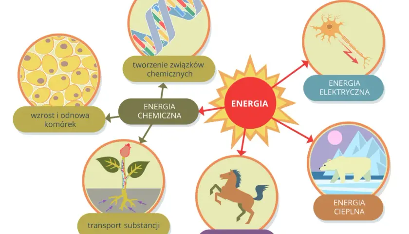 Schemat przedstawiający różne formy energii: słoneczną, chemiczną, elektryczną, mechaniczną i cieplną, z ilustracjami.