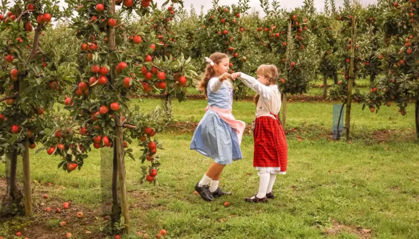 Dwie dziewczynki tańczą wśród niskopiennych drzewek owocowych uginających się pod ciężarem czerwonych jabłek.