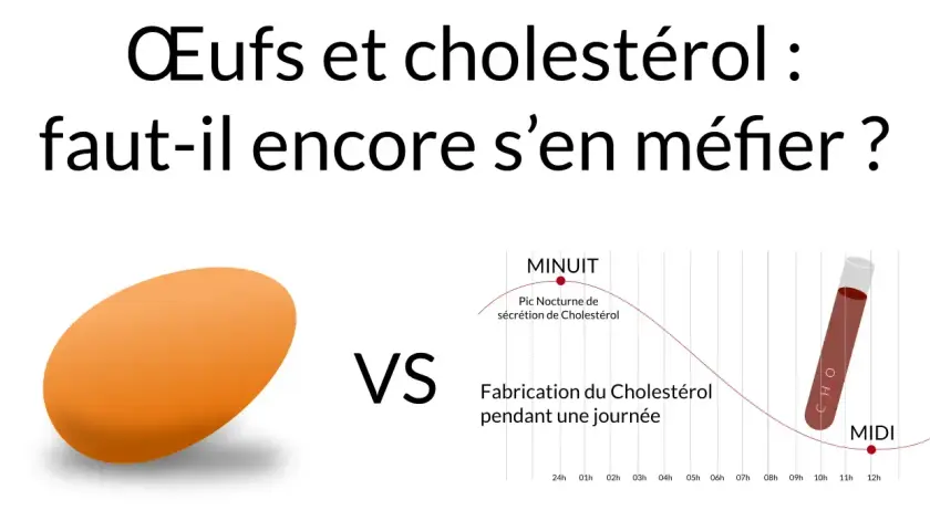 Œufs et cholestérol : faut-il encore s'en méfier ? Un œuf face à un graphique de la fabrication du cholestérol.