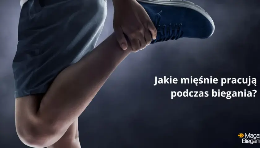 Jakie mięśnie pracują podczas biegania? Biegaj mądrzej!