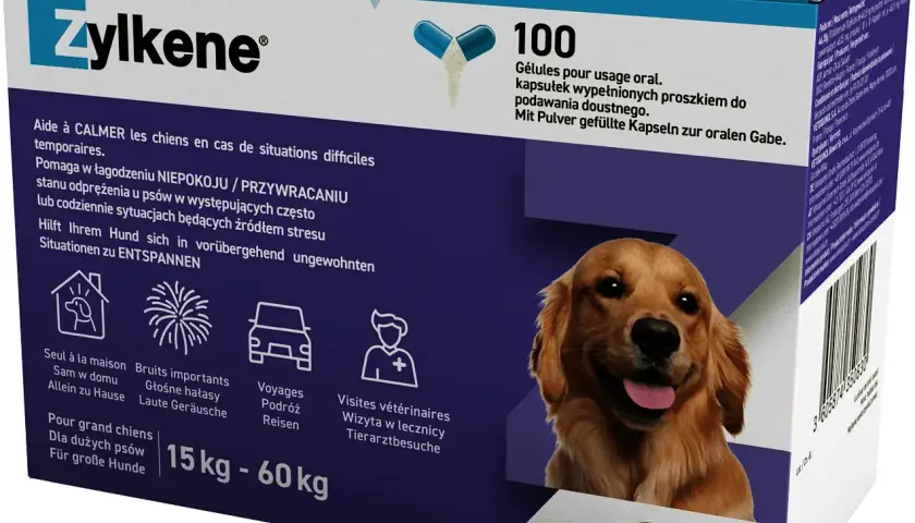 Tabletki na stres dla psa - skuteczne środki uspokajające