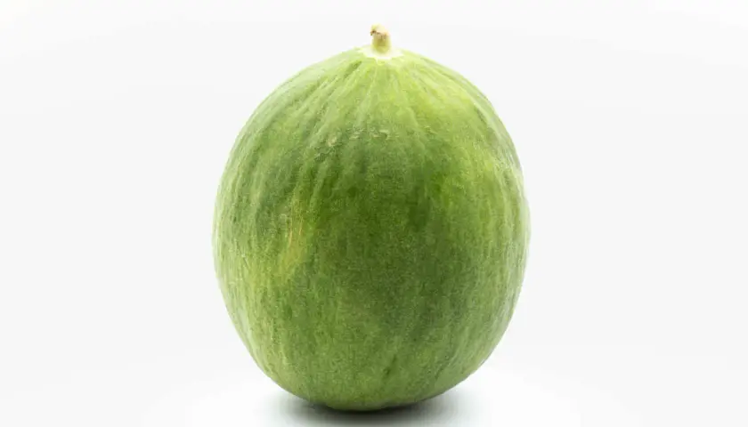 Un tondo cetriolo barattiere verde, con una leggera peluria e un piccolo picciolo in cima, su sfondo bianco.