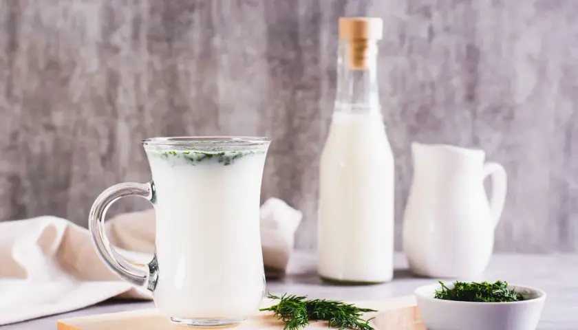 Szklanka z napojem, butelka i dzbanek mleka, gałązka koperku. Poznaj kefir właściwości dla zdrowia.