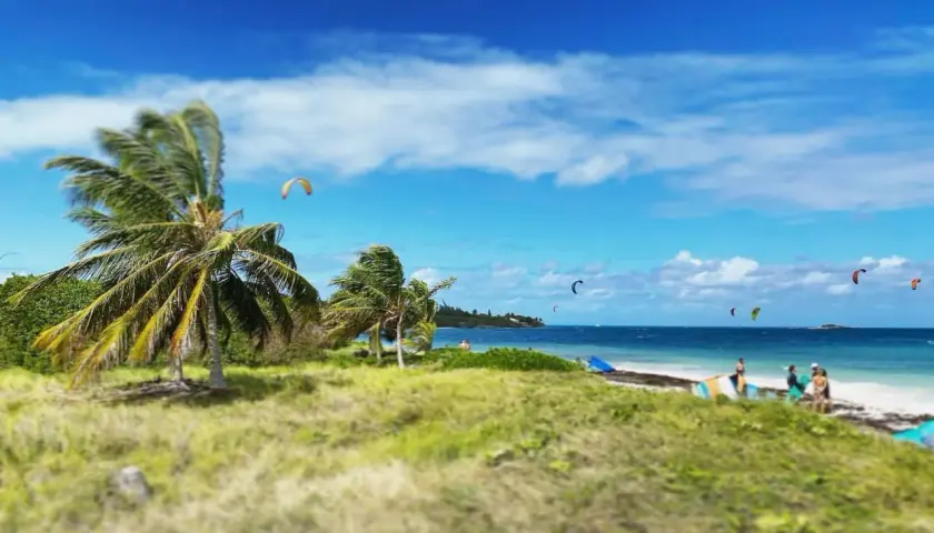 Palmy kołyszą się na wietrze, a na błękitnym morzu widać kolorowe latawce. Różnorodne kierunki wiatru pozwalają na ekscytujący kitesurfing.