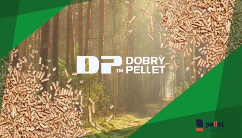 Zastanawiasz się, jaki pellet jest najlepszy? Zobacz naturalne, drewniane paliwo w lesie. Logo "DOBRY PELLET" i "pellet4FUTURE".