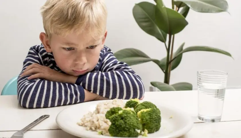 Un enfant boude devant son assiette de riz et brocolis. Une vraie galère pour trouver une idée repas enfant difficile à satisfaire !