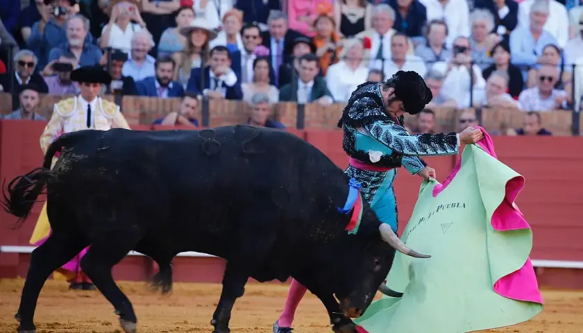Un torero se enfrenta a un toro bravo en la arena, con el público observando. Los toros del torero son el centro de atención.