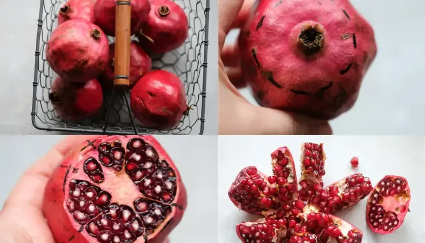 Czy pies może jeść granata? Sprawdź, jakie są zagrożenia i zasady