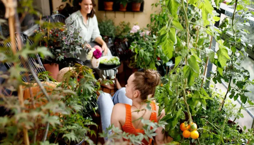 Två kvinnor njuter av en grönskande balkong med många balkong blommor och tomatplantor.