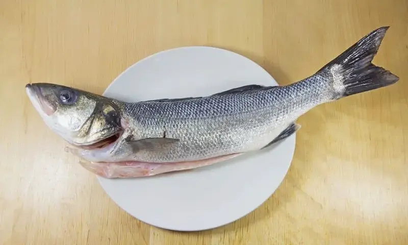 Jak wygląda ryba miruna? Cechy, które zaskoczą każdego miłośnika mórz