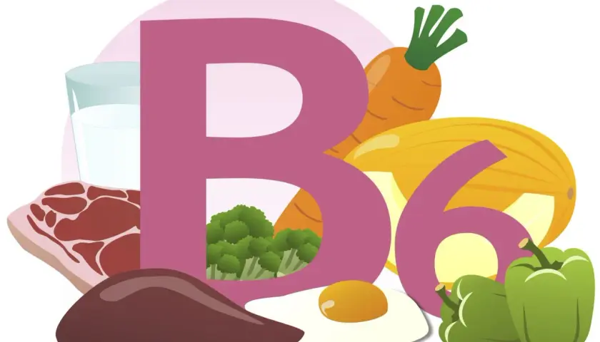 Wielka litera B i cyfra 6 otoczone produktami bogatymi w witaminę B6: mleko, mięso, wątróbka, jajko, brokuły, marchew, melon i papryka.