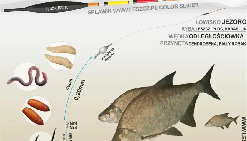 Wędka ze spławikiem: Uzbrój ją jak ekspert i łów więcej ryb