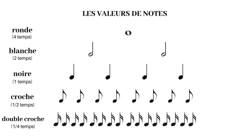 Les valeurs de notes : ronde (4 temps), blanche (2 temps), noire (1 temps), croche (1/2 temps), double croche (1/4 temps). Illustration de la différence rythme et tempo.