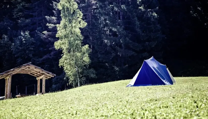 Ein blaues Zelt und ein Holzunterstand auf einer grünen Wiese vor einem dunklen Wald. Perfekt, um eine Klassenfahrt zu organisieren.