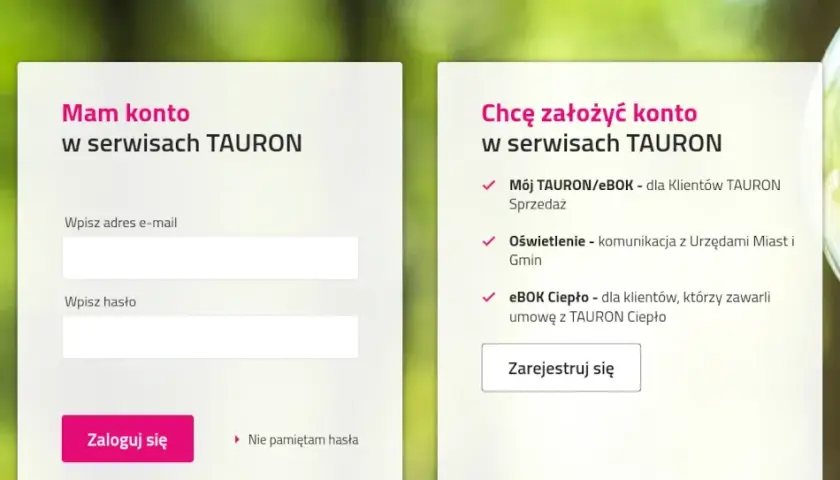 Jak uzyskać pełnomocnictwo Tauron i na co zwrócić uwagę? 