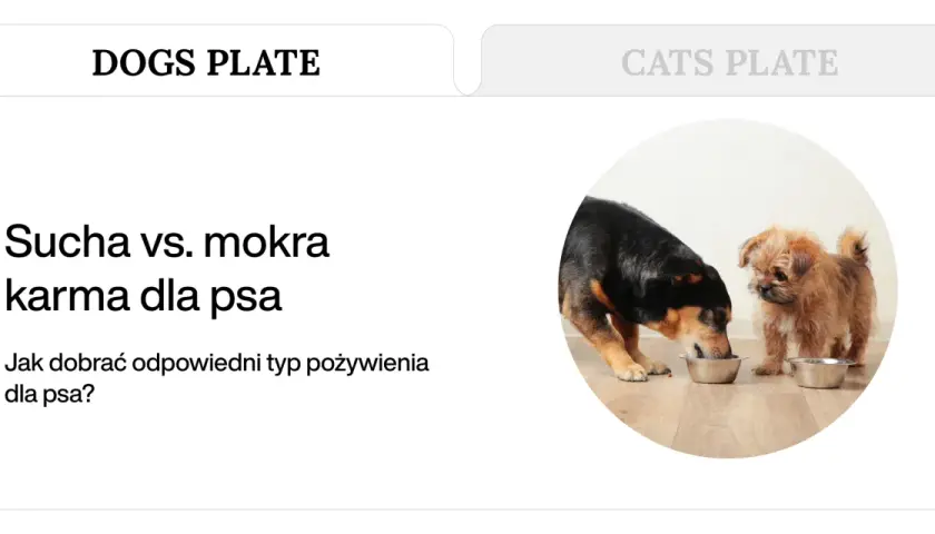 Sucha czy mokra karma dla psa? Poznaj wady, zalety i wybierz mądrze
