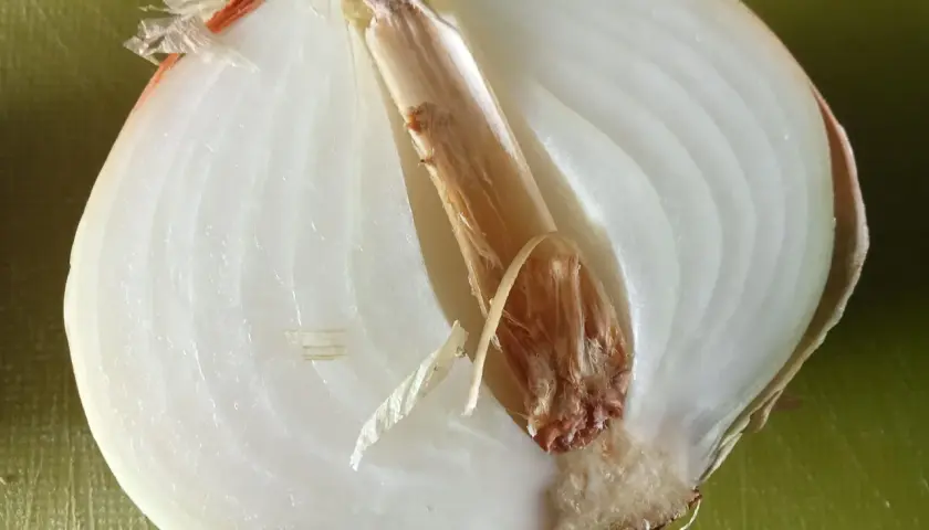 Schnittzwiebel mit braunem Kern und welken Schichten. So erkennst du schlechte Zwiebeln.