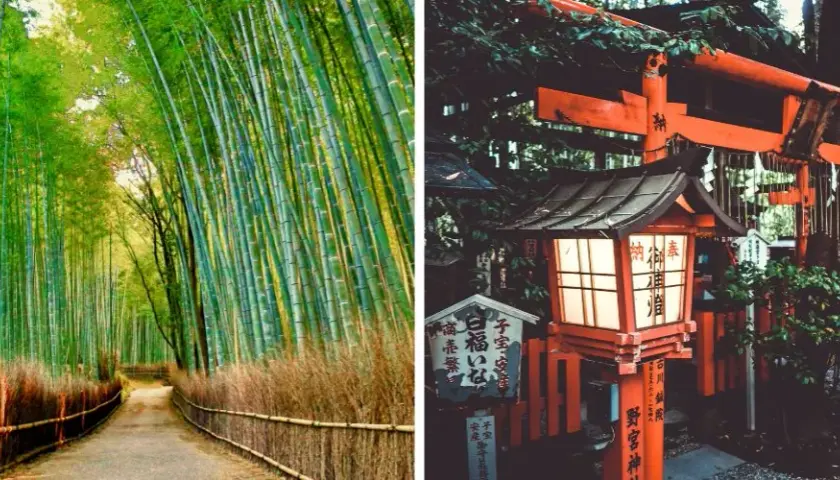 Atrakcje Japonia: Odkryj najpiękniejsze miejsca i ukryte skarby