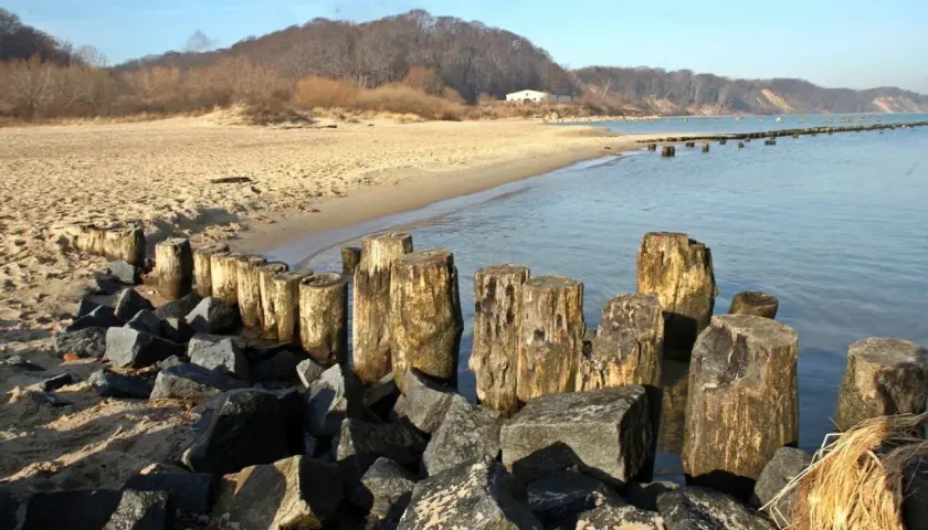 Kamienne falochrony i drewniane pale na plaży w Gdyni Oksywie. W tle piaszczysta plaża i zalesione wzgórza.