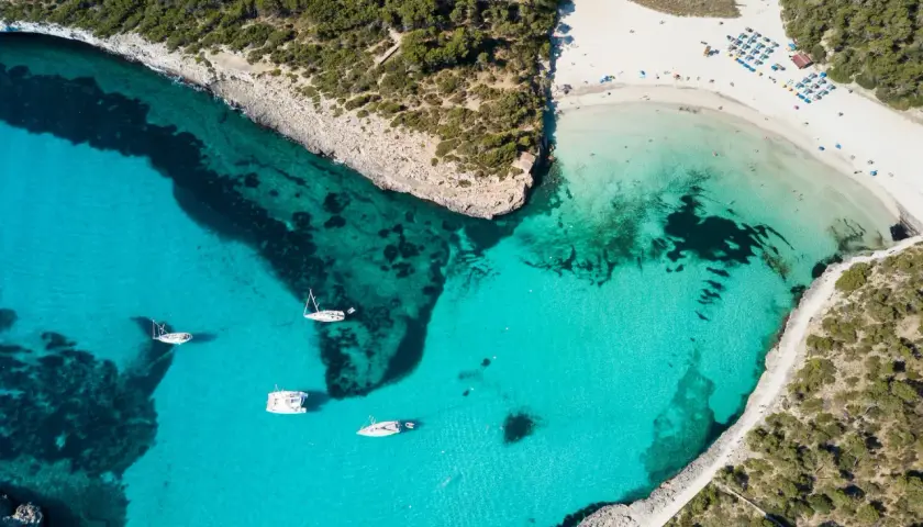 Traumhafte Bucht mit türkisfarbenem Wasser, weißen Sandstrand und Pinienwäldern. Ein Muss, was man auf Mallorca gesehen haben muss!
