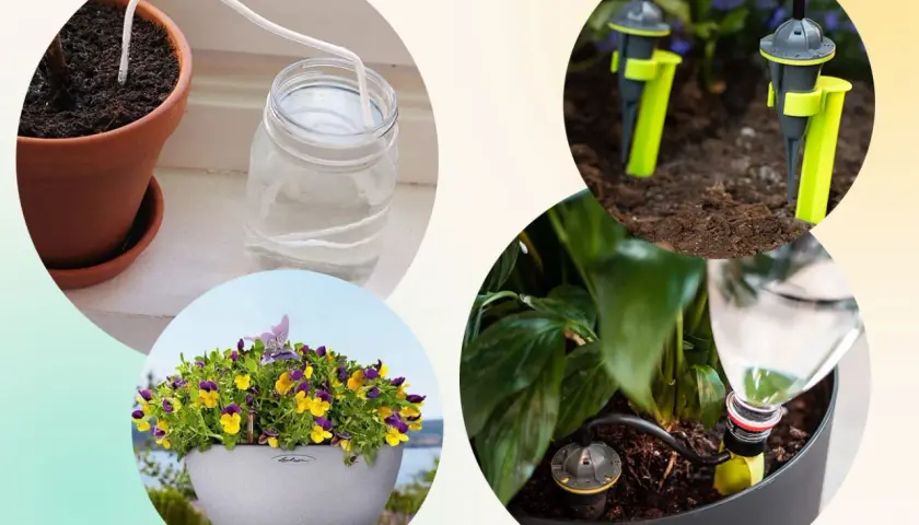 Självvattnande system för blommor. Perfekt för att vattna blommor på semester.