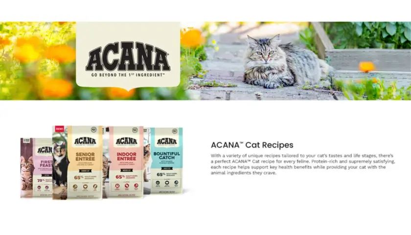 ACANA highest protein indoor dry cat food is featured alongside a fluffy cat lounging outdoors. Several ACANA cat food bags are displayed, including "Indoor Entrée.