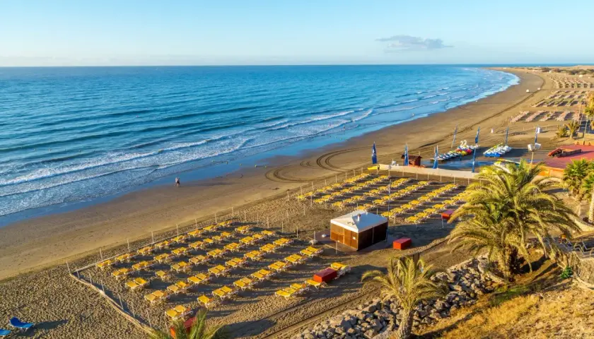 Słoneczna plaża Playa del Inglés z rzędami żółtych leżaków, turkusowym oceanem i palmami.