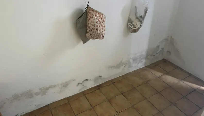 Schimmel an der Wand deutet auf Feuchtigkeitsprobleme hin. Es ist Zeit, den Boden und die Wände abzudichten, um weitere Schäden zu vermeiden.
