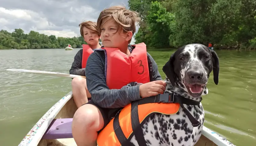 Dos niños y un dálmata disfrutan de un paseo en canoa, demostrando los beneficios de tener un perro en aventuras familiares.