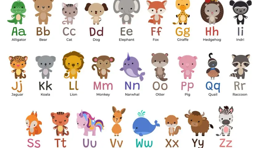 Urocza plansza z literami alfabetu i zwierzętami po angielsku: aligator, niedźwiedź, kot, pies, słoń, lis, żyrafa, jeż, indri, jaguar, koala, lew, małpa, narwal, wydra, świnia, przepiórka, szop, wiewiórka, tygrys, jednorożec, wigonia, wieloryb, kserus,...