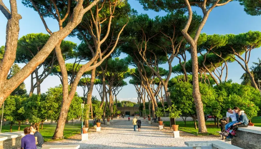 Passeggiata tra i pini marittimi nei giardini di Roma, con persone che si godono la tranquillità e il verde.