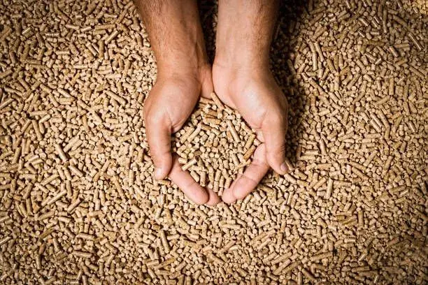 Czy pellet będzie zakazany? Sprawdź przyszłość ogrzewania biomasą