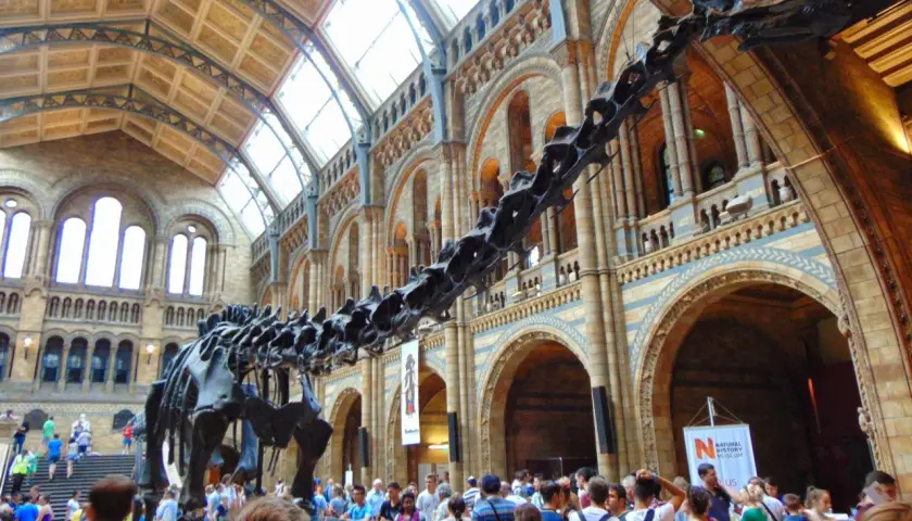 Szkielet dinozaura w holu Muzeum Historii Naturalnej w Londynie. Zwiedzający podziwiają imponującą ekspozycję.