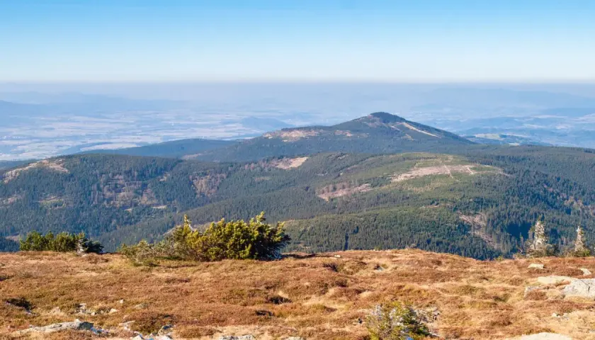 Widok z górnej części zbocza na zalesione pasma górskie i doliny. To najładniejszy szlak na Śnieżnik, z piękną panoramą.