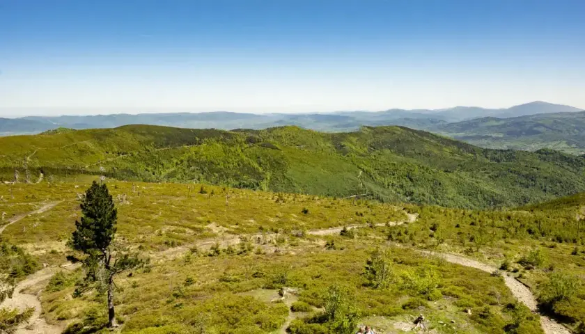 Widok na zielone wzgórza i góry, z krętym szlakiem prowadzącym przez łąki. Barania Góra szlak zaprasza do wędrówki.