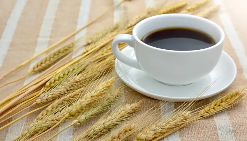 Una tazza di caffè d'orzo fumante, circondata da spighe dorate su una tovaglia a righe.