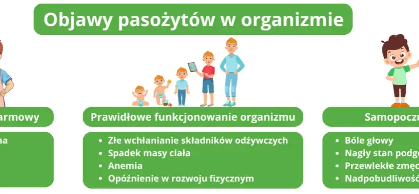 Tłuszczowe stolce i zmęczenie? Sprawdź objawy zaburzeń wchłaniania
