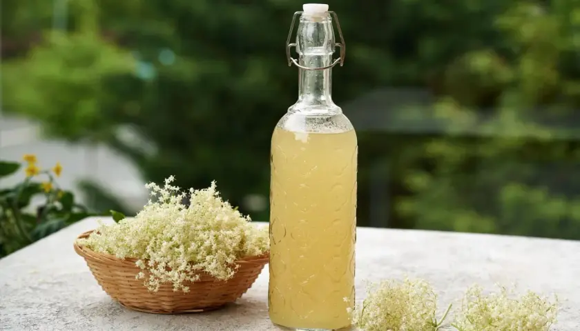 Pyszne drinki z syropem z kwiatu czarnego bzu, które zachwycą smakiem