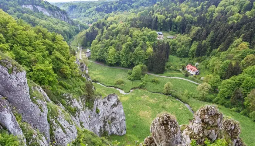 Malownicza dolina Prądnika otoczona bujną zielenią lasów, z krętą rzeką i skalnymi ostańcami. W oddali widać domy.