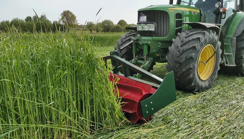 Ein grüner Traktor mäht ein Feld mit hohem Getreide. Die Frage "wann wird Roggen geerntet?" wird hier beantwortet: jetzt, im Sommer.