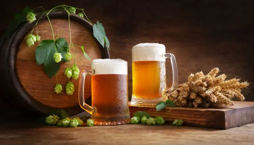 Deux chopes de bière mousseuse, du houblon frais et des épis de blé près d'un tonneau en bois. La carbonatation de la bière est parfaite.