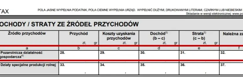 PIT-28 wynajem mieszkania: termin do 30 kwietnia. Jak uniknąć kary?