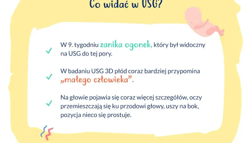 W 9. tygodniu ciąży zanika ogonek płodu, który na USG przypomina już "małego człowieka". Pojawiają się szczegóły głowy.